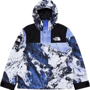 The North Face Puffer Jacket